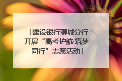 建设银行聊城分行：开展“高考护航·筑梦同行”志愿活动