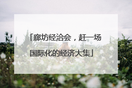 廊坊经洽会，赶一场国际化的经济大集