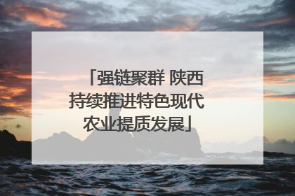 强链聚群 陕西持续推进特色现代农业提质发展