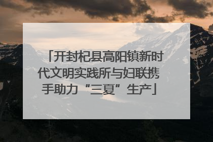 开封杞县高阳镇新时代文明实践所与妇联携手助力“三夏”生产