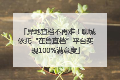 异地查档不再难！聊城依托“在鲁查档”平台实现100%满意度