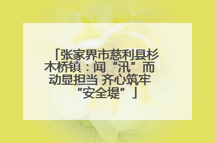 张家界市慈利县杉木桥镇：闻“汛”而动显担当 齐心筑牢“安全堤”