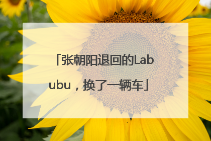 张朝阳退回的Labubu，换了一辆车