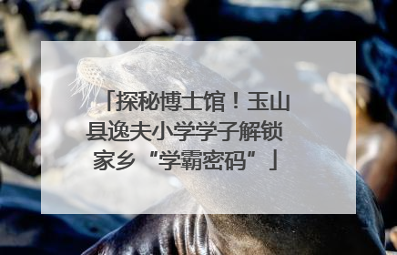 探秘博士馆！玉山县逸夫小学学子解锁家乡“学霸密码”