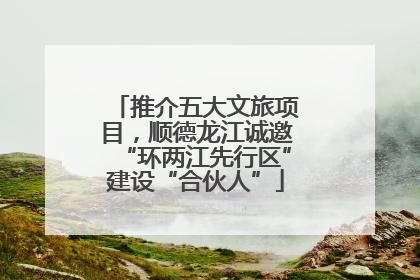 推介五大文旅项目，顺德龙江诚邀“环两江先行区”建设“合伙人”