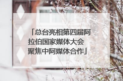 总台亮相第四届阿拉伯国家媒体大会 聚焦中阿媒体合作