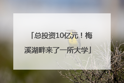 总投资10亿元！梅溪湖畔来了一所大学