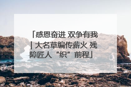 感恩奋进 双争有我｜大名草编传薪火 残障匠人“织”前程