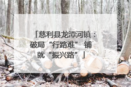 慈利县龙潭河镇：破局“行路难” 铺就“振兴路”