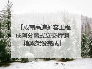 成南高速扩容工程成阿分离式立交桥钢箱梁架设完成