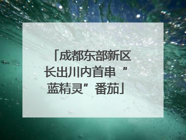 成都东部新区长出川内首串“蓝精灵”番茄