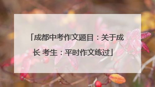 成都中考作文题目：关于成长 考生：平时作文练过