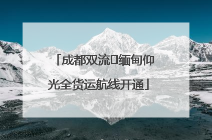 成都双流⇌缅甸仰光全货运航线开通