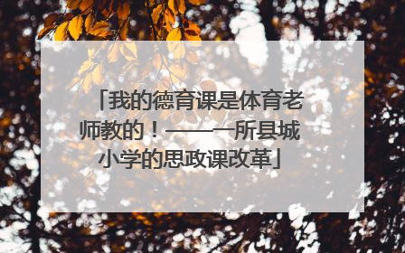 我的德育课是体育老师教的！——一所县城小学的思政课改革