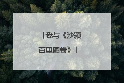 我与《沙颍百里图卷》