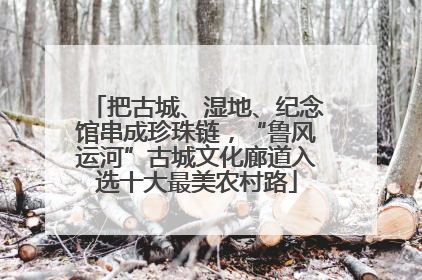 把古城、湿地、纪念馆串成珍珠链，“鲁风运河”古城文化廊道入选十大最美农村路