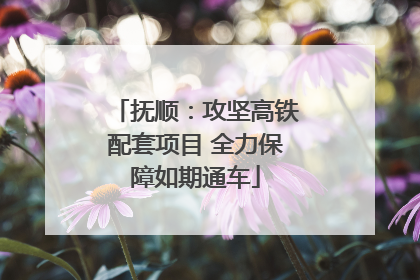 抚顺：攻坚高铁配套项目 全力保障如期通车