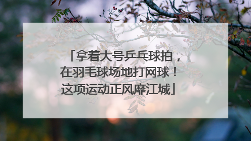 拿着大号乒乓球拍，在羽毛球场地打网球！这项运动正风靡江城
