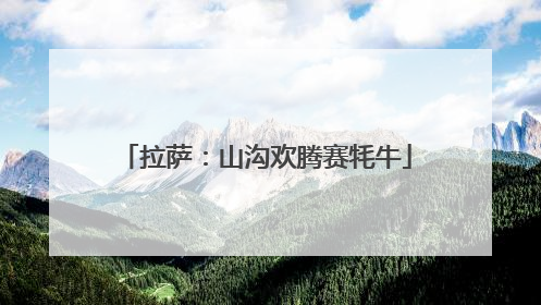 拉萨：山沟欢腾赛牦牛