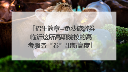 招生简章=免费旅游券 临沂这所高职院校的高考服务“卷”出新高度