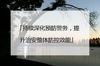 持续深化预防警务，提升治安整体防控效能