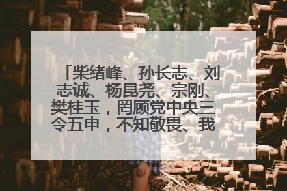 柴绪峰、孙长志、刘志诚、杨昆尧、宗刚、樊桂玉，罔顾党中央三令五申，不知敬畏、我行我素、肆意妄为！