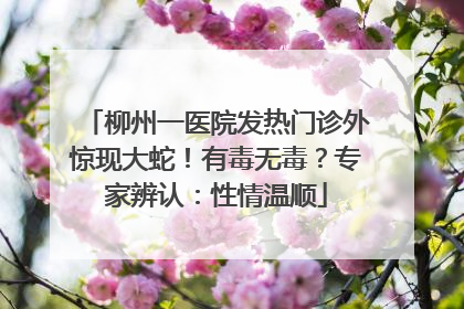 柳州一医院发热门诊外惊现大蛇！有毒无毒？专家辨认：性情温顺