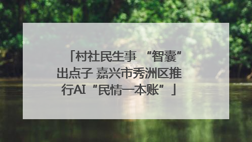 村社民生事 “智囊”出点子 嘉兴市秀洲区推行AI“民情一本账”