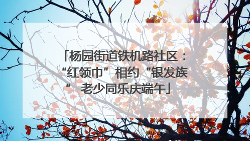 杨园街道铁机路社区：“红领巾”相约“银发族” 老少同乐庆端午