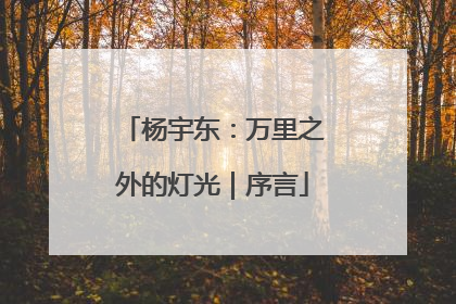 杨宇东：万里之外的灯光｜序言
