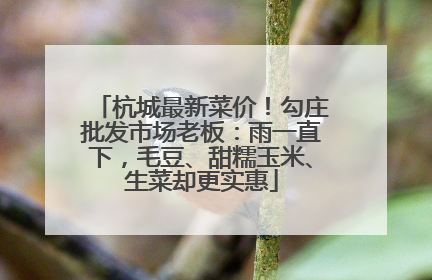 杭城最新菜价！勾庄批发市场老板：雨一直下，毛豆、甜糯玉米、生菜却更实惠