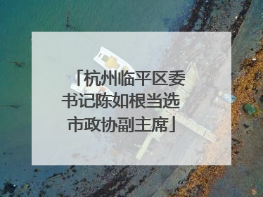 杭州临平区委书记陈如根当选市政协副主席