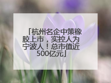 杭州名企中策橡胶上市，实控人为宁波人！总市值近500亿元