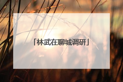 林武在聊城调研