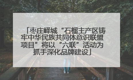 枣庄峄城“石榴主产区铸牢中华民族共同体意识联盟项目”将以“六联”活动为抓手深化品牌建设