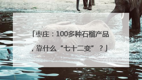 枣庄：100多种石榴产品，靠什么“七十二变”？