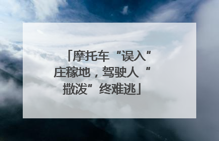 摩托车“误入”庄稼地，驾驶人“撒泼”终难逃