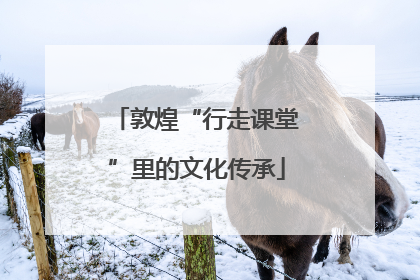 敦煌“行走课堂”里的文化传承