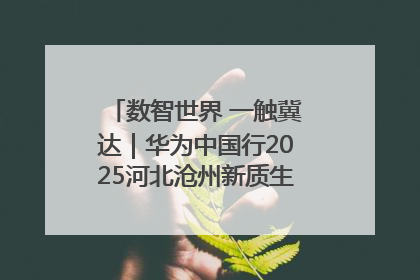 数智世界 一触冀达｜华为中国行2025河北沧州新质生产力峰会成功举办