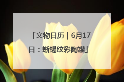 文物日历｜6月17日：蜥蜴纹彩陶罐