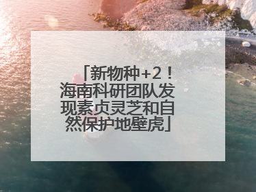 新物种+2！海南科研团队发现素贞灵芝和自然保护地壁虎