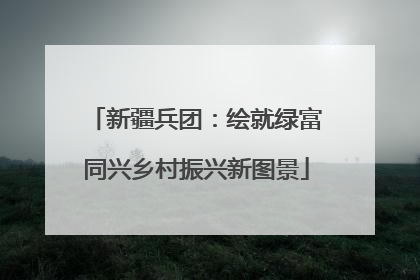 新疆兵团：绘就绿富同兴乡村振兴新图景
