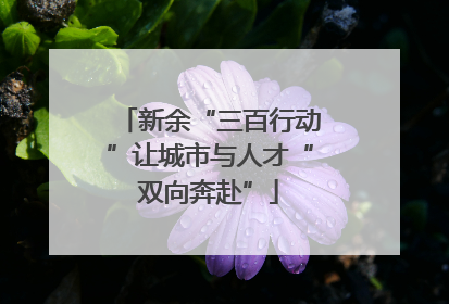 新余“三百行动”让城市与人才“双向奔赴”