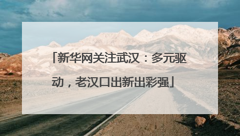 新华网关注武汉：多元驱动，老汉口出新出彩强