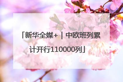 新华全媒+｜中欧班列累计开行110000列