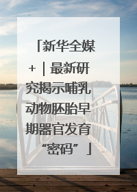 新华全媒+｜最新研究揭示哺乳动物胚胎早期器官发育“密码”