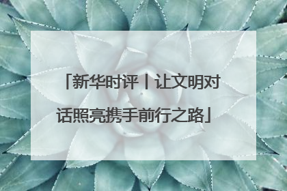 新华时评丨让文明对话照亮携手前行之路