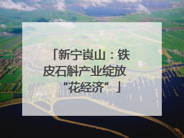 新宁崀山：铁皮石斛产业绽放“花经济”