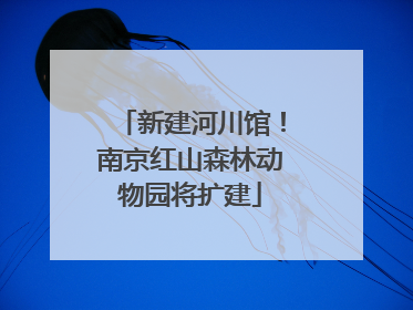 新建河川馆！南京红山森林动物园将扩建