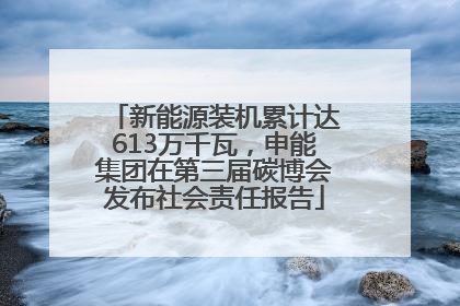 新能源装机累计达613万千瓦，申能集团在第三届碳博会发布社会责任报告